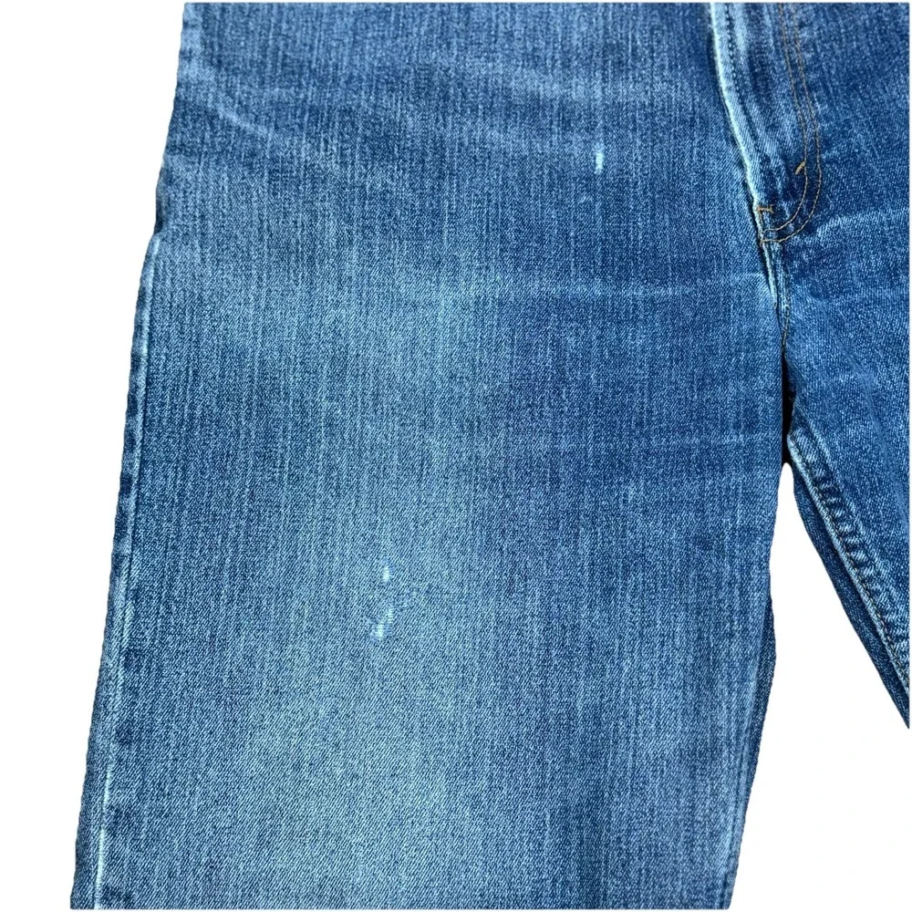 Levis levi 550